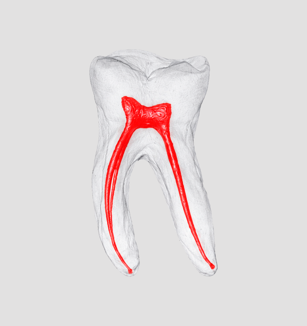 Endodontia Automatizada - 8 Módulos