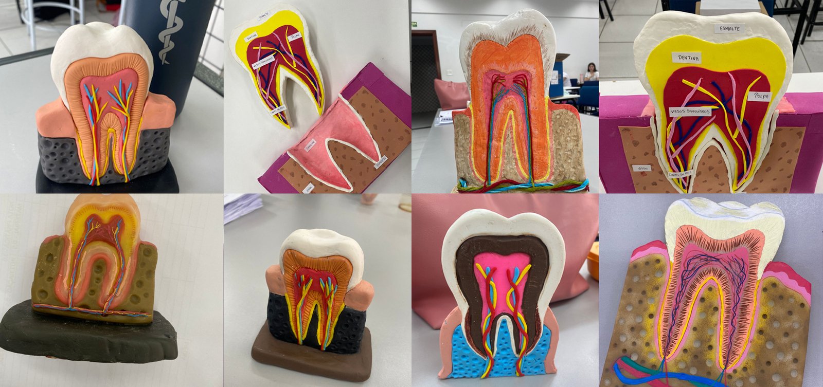 Com as mãos na massa! Acadêmicos do primeiro semestre de Odontologia criam macromodelos de dentes
