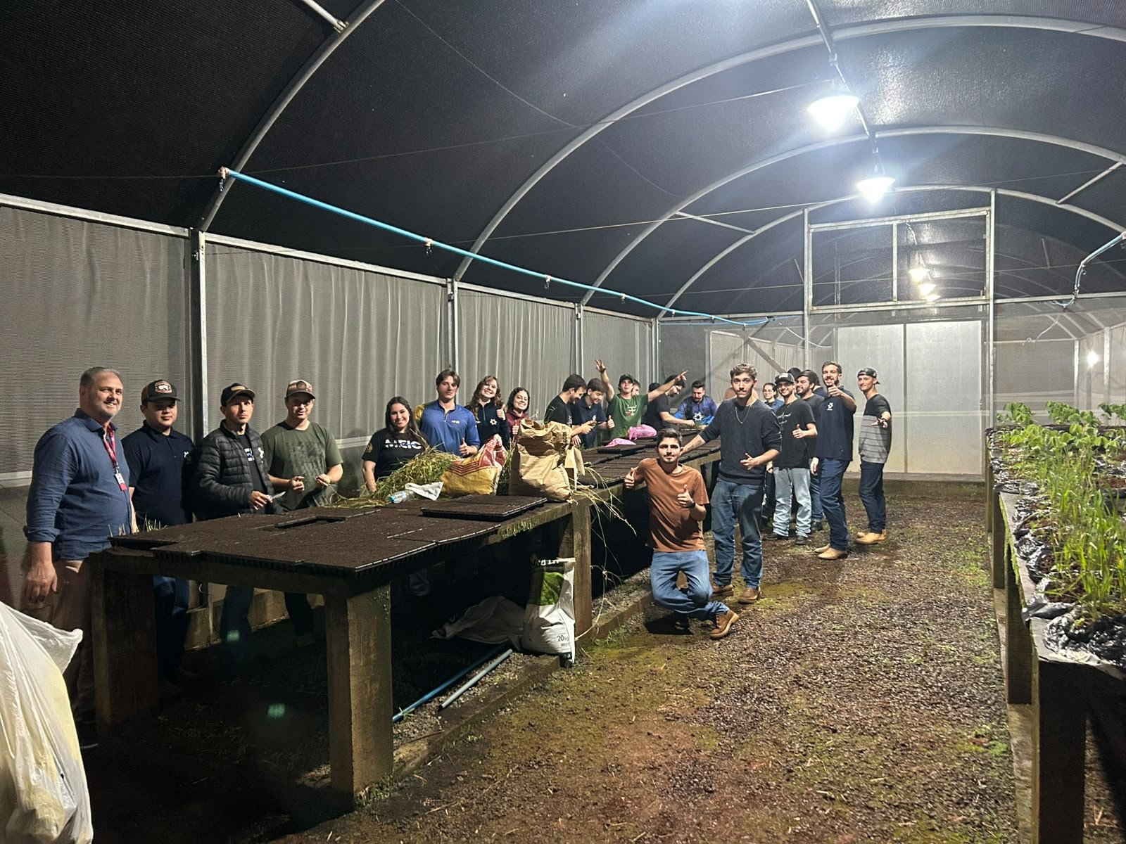 Acadêmicos de Agronomia da Unisep realizam atividade prática de produção de mudas forrageiras